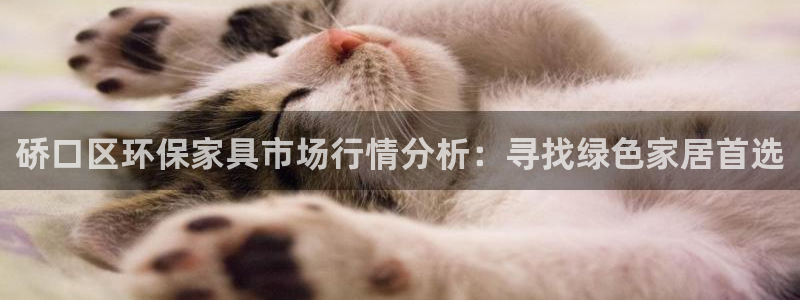 杏宇平台注册网址：硚口区环保家具市场行情分析：寻找绿色家居首