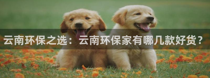 杏宇平台已7O777：云南环保之选：云南环保家有哪几款好货？