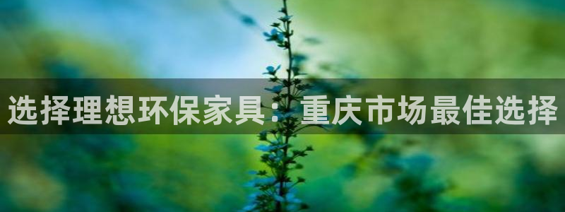 杏宇平台代理注册多少钱：选择理想环保家具：重庆市场最佳选择