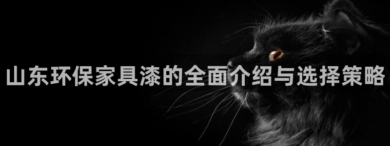 杏宇平台注册会员：山东环保家具漆的全面介绍与选择策略