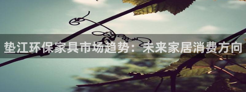 杏宇平台代理：垫江环保家具市场趋势：未来家居消费方向
