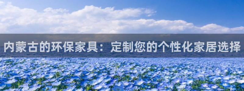 杏宇代理官网：内蒙古的环保家具：定制您的个性化家居选择