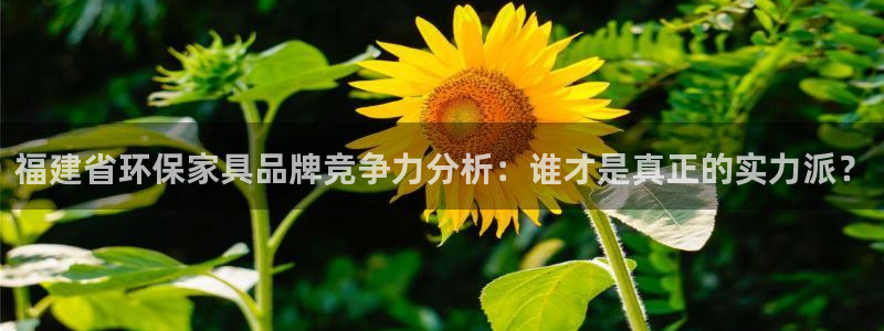 杏宇平台专用通道