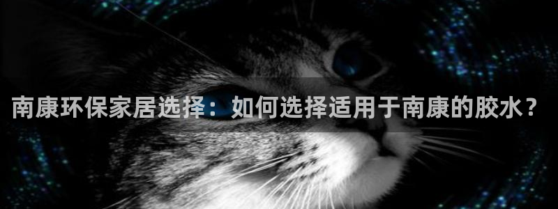 杏宇平台几年了：南康环保家居选择：如何选择适用于南康的胶水？