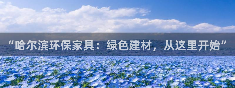 杏宇代理注册开户：“哈尔滨环保家具：绿色建材，从这里开始”