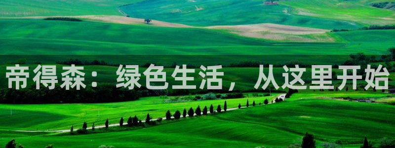 杏宇平台分红