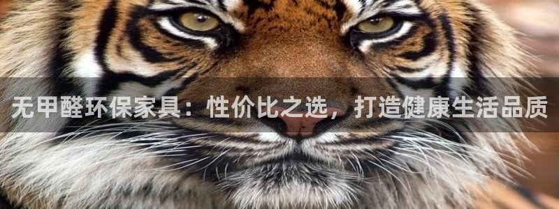 杏宇平台几年了：无甲醛环保家具：性价比之选，打造健康生活品质