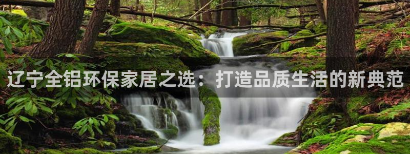 杏宇平台还在吗：辽宁全铝环保家居之选：打造品质生活的新典范